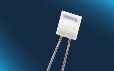 Platinum Temperature sensor Pt100