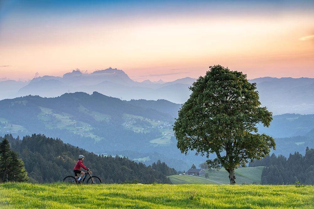 Toggenburg hills