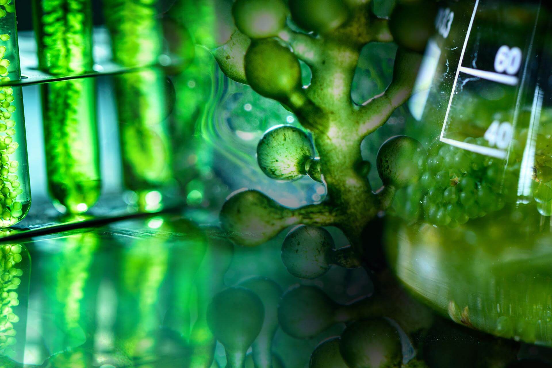 Bioprocessing