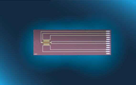 Silicon Flow Sensor SFS01