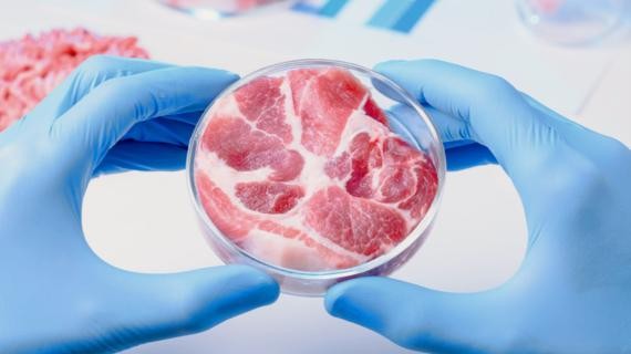 Lab grown meat