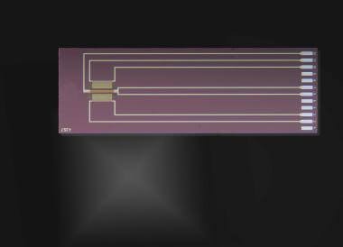 SFS Silicon Flow Sensor