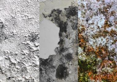 Humidity causes structural damage to buildings Humidity causes structural damage to buildings